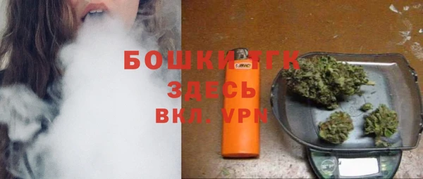 ГАЛЛЮЦИНОГЕННЫЕ ГРИБЫ Баксан