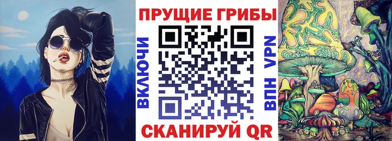 закладки Шали Галлюциногенные грибы мухоморы